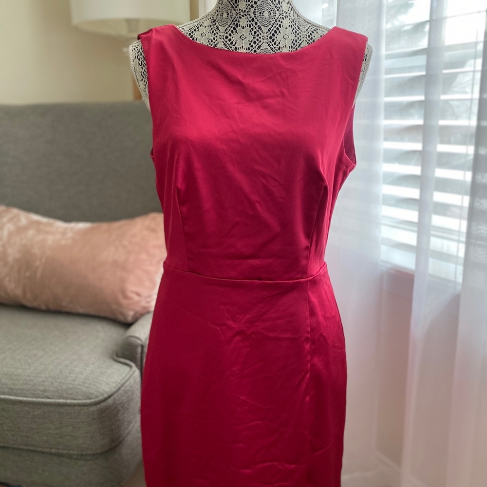 Elegant Fuschia Sleeveless Dress